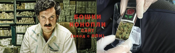 меф Арсеньев