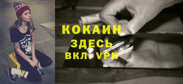 ешки Аркадак