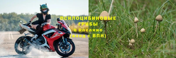 прущий лед Алзамай