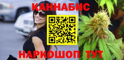молекула духа Шелехов