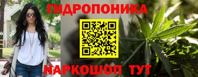 твердый Шебекино