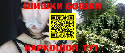 молекула духа Шелехов