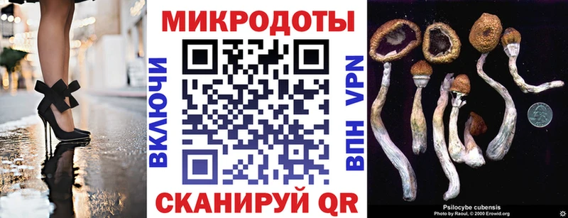 omg ССЫЛКА  купить  цена  Новороссийск  Галлюциногенные грибы GOLDEN TEACHER 