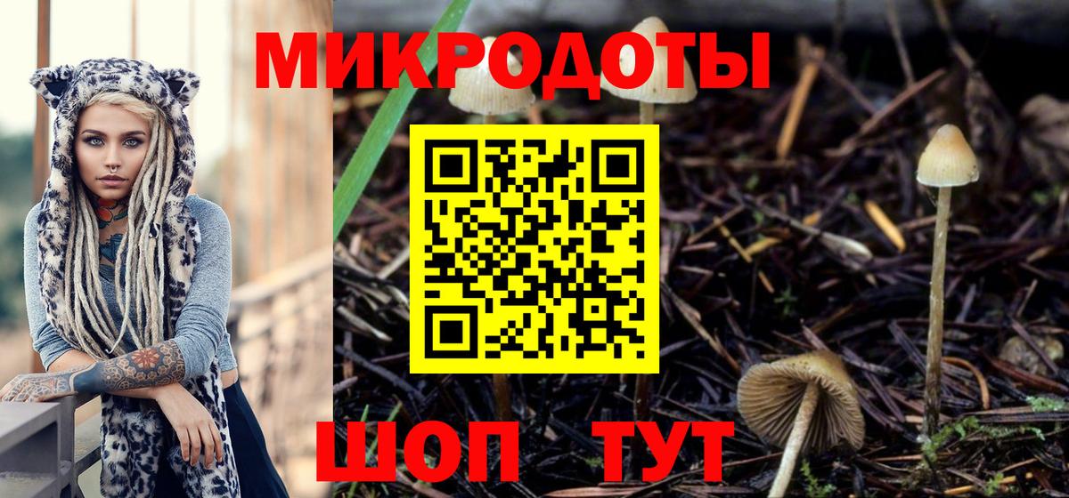 Псилоцибиновые грибы GOLDEN TEACHER Новороссийск