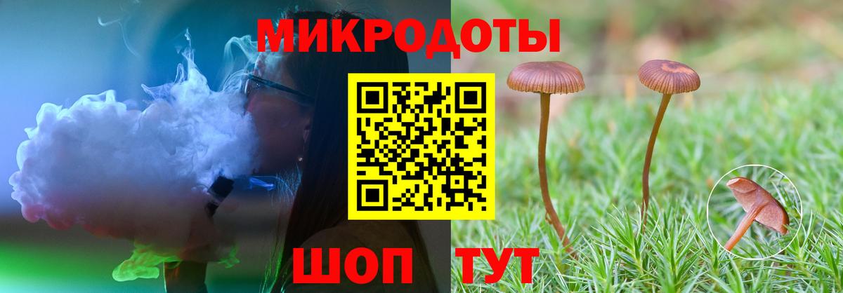 Новороссийск  Псилоцибиновые грибы мицелий  Вход с VPN 